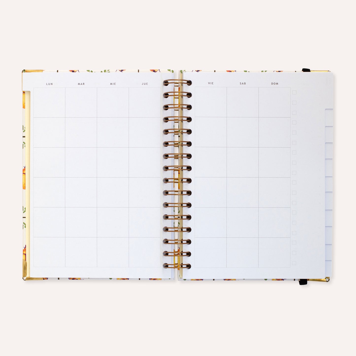 La Agenda Semanal sin fechas ∙Mosaicos∙