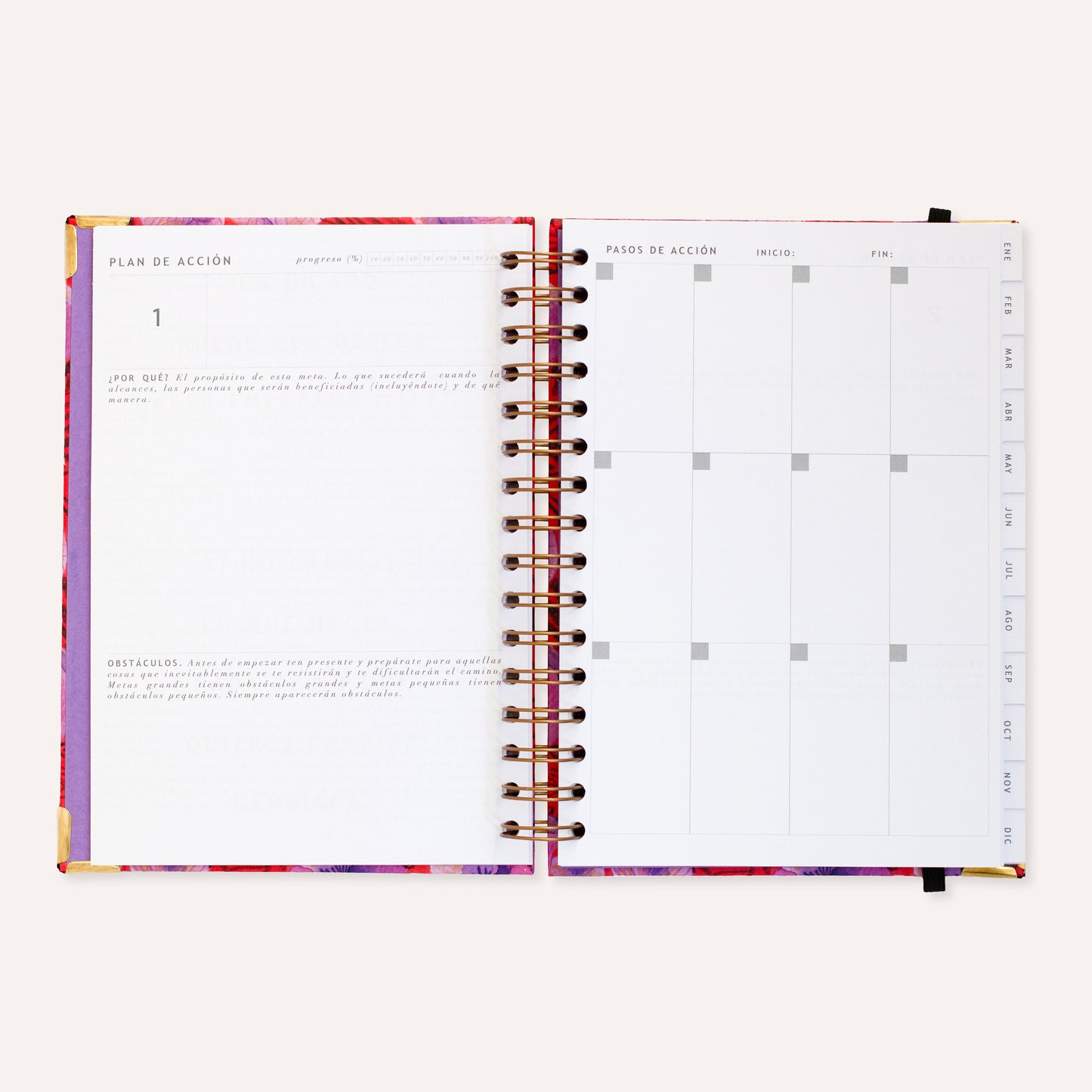 La Agenda Semanal 2026∙Violas∙